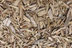 biomass boilers Glanafon